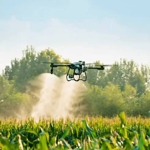 Drone agrícola aplicando sobre un cultivo